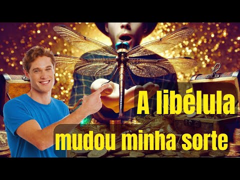 Significado da Libélula na Espiritualidade - A Libélula Mudou Minha Sorte!