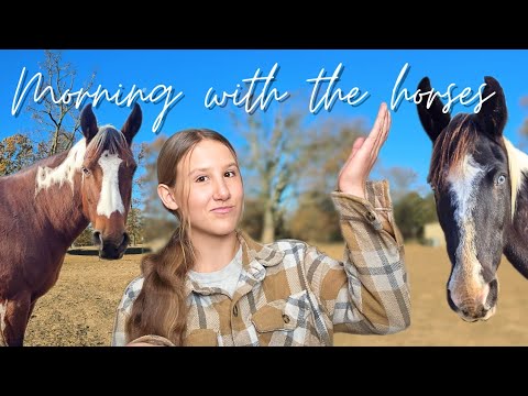 The MORNING Routine of 5 HORSES!! VERY BUSY MORNING
