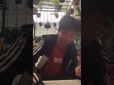 Hồng Gia Lai- 1 Bông hồng đẳng cấp và đáng để mọi người sưu tầm và bảo tồn giống ạ 0967.747.621