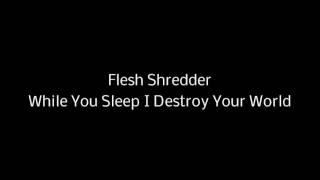 Flesh Shredder - While You Sleep I Destroy Your World