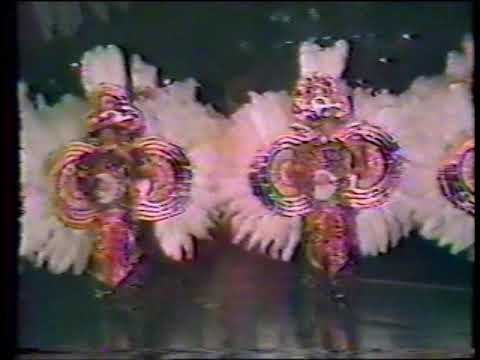 1978 Durning String Band "La Fiesta Brava" - 14th Place