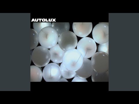 Great Days for the Passenger Element - Autolux