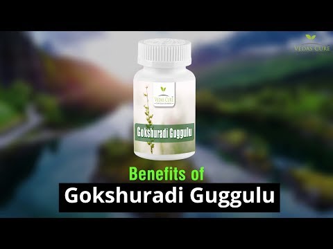 Gokshuradi Guggulu 80 Tablets