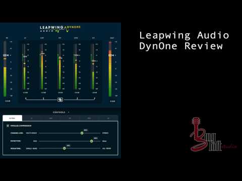 Leapwing Audio DynOne Review