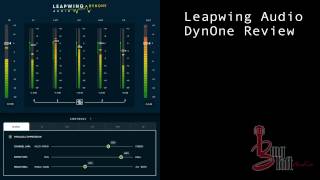 Video thumbnail for Leapwing Audio DynOne Review by The BASSment Studio