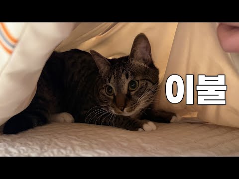 봄맞이 이불을 바꿔줬습니다...