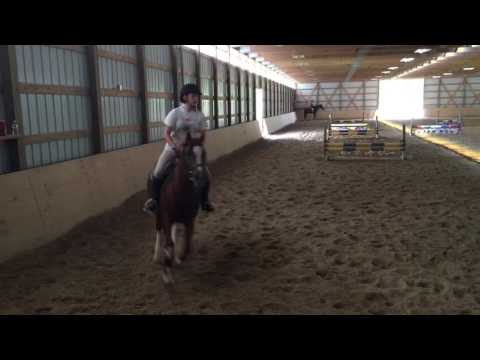 trim 6AE51FAF 9DFB 43E2 9779 A890BD90F18D