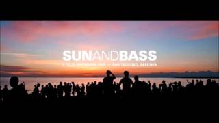 Ant TC1 @ Sun and Bass 2015