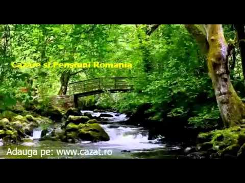 Cazare Bratesti, Arges - Cazat.ro