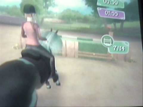 horse life 2 wii a vendre