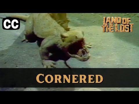 Land of the Lost | Season 3 Episode 6 | Cornered