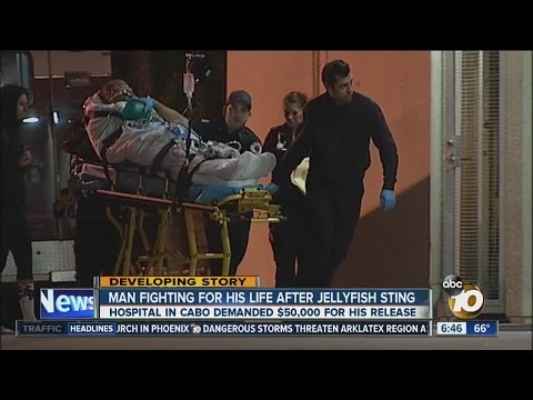 Man Fighting For Life After Jellyfish Sting
