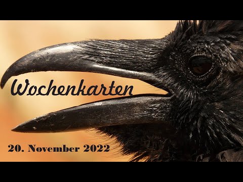 Wochenkarten221120