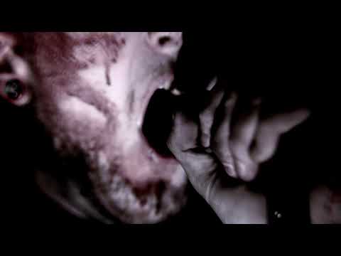 Feeding The Insanity - Discrete (Official Music Video)