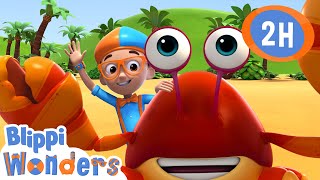 Where Does Sand Come From? | Blippi Wonders | Moonbug Kids - Play and Learn