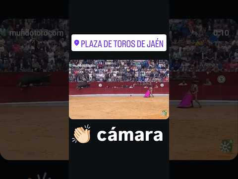 Cámara salta a la plaza al pasar el toro al callejón en Jaén #shorts