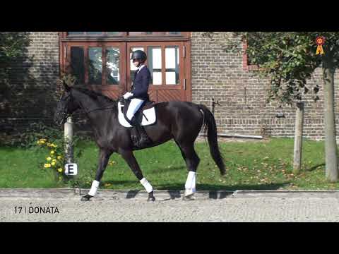 17 Donata v. Desperados - San Amour  *MARBACHER WOCHENENDE 2020*