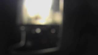 Coyotes Laughing in the Night