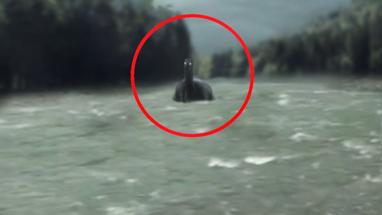 12 Extinct Creatures People Believe Are Still Out There!