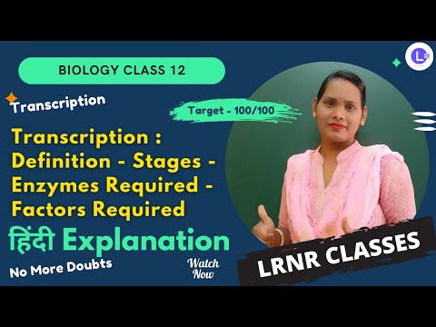 ​Transcription - Definition - Stages - Enzymes Required - Factors Required | Biology Class 12 | LRNR Classes