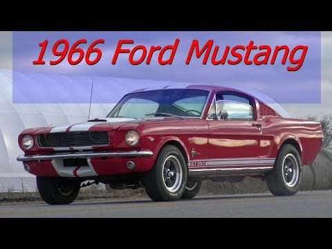 1966 Ford Mustang Fastback with Shelby GT350 features, road test & tour in Talty, Texas