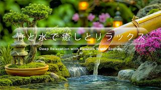 Relaxing Bamboo Music 🌿 不安を和らげ、深いリラクゼーションへ｜ストレス解消と癒しのサウンド