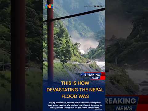 News4Bharat Short: Viral Update