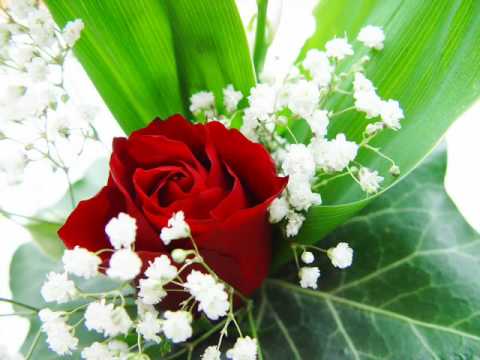 my little faiytale E-3 S-1 meet my father