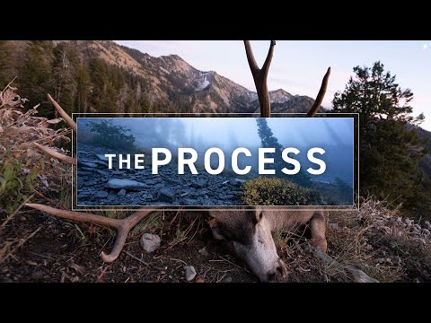 “The Process" – A Mountain Mule Deer Hunt