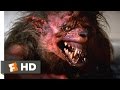 Fright Night (1985) - The Death of Evil Ed Scene (7/10) | Movieclips
