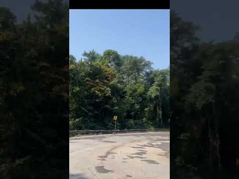 #beautifulview #trending #ytshorts