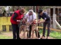 Longwood Coursing Club