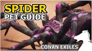 SPIDER | Pets Guide | CONAN EXILES