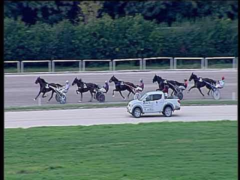 Trotto 03/11/2019 - 5ª corsa