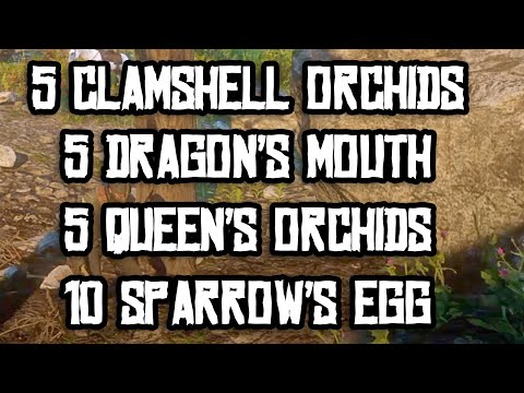 download lagu mp3 mp4 Clamshell Orchid Rdr2, download lagu Clamshell Orchid Rdr2 gratis, unduh video klip Clamshell Orchid Rdr2