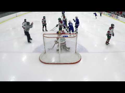 29.10.2017 Karhu-Kissat Cats - HAKI D04 AAA maalikooste