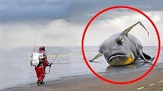 UNBELIEVABLE Items Found After Tsunamis !