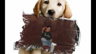 Te Vas con El  Grupo Brindys Brindis y los acostas wmv