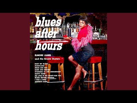 Wild About You Baby - Elmore James