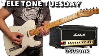 Video thumbnail for TELE TONE TUESDAY - Fender Custom Shop Texas Special & Marshall DSL20HR by Landon Bailey
