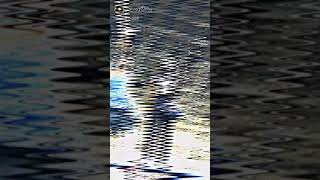 Download lagu BONEK 1️⃣9️⃣2️⃣7️⃣ SALAM SATU NYALI WANI (4) mp3 Download lagu BONEK 1️⃣9️⃣2️⃣7️⃣ SALAM SATU NYALI WANI (4) mp3