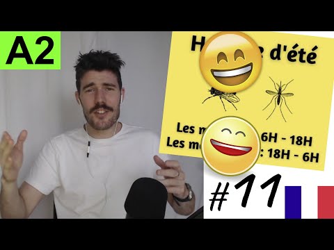 Learn French with MEMES 🦟 - A2 #11