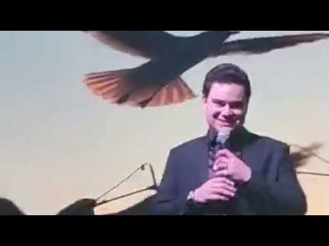 MANUEL JOSÉ   Concierto en La Maraka CDMX   20 12 2025