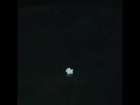 YouTube 썸네일