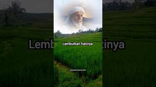 Download lagu Prayer for my child #prayerandhope#selfmotivation#lifemotivation#wisewords#shortsfeed mp3