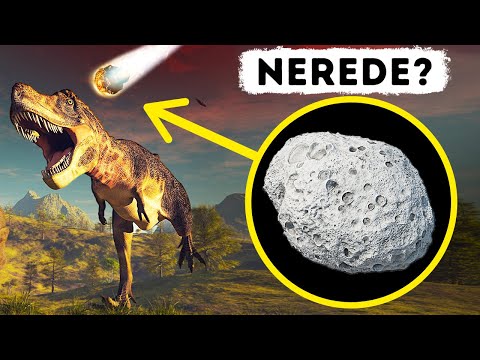 Dinozorları Yok Eden Asteroide Ne Oldu?