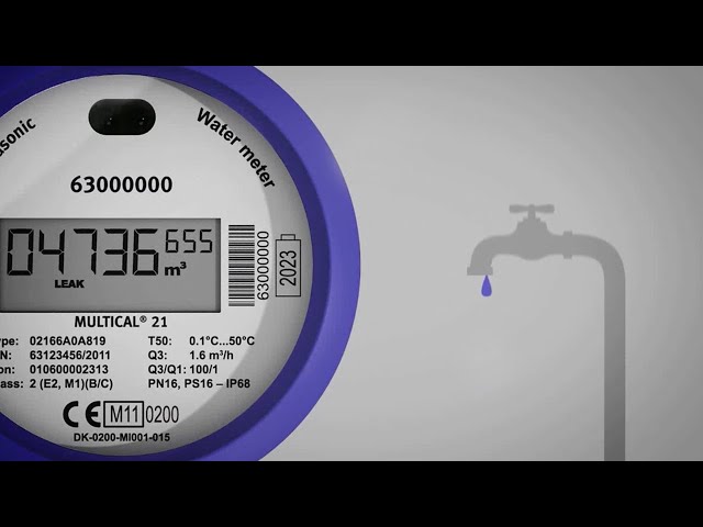 Flowiq 3100 Compteur D Eau Commercial Et Industriel