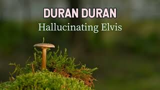 DURAN DURAN - Hallucinating Elvis