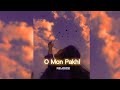 O Mon Pakhi Slowed Reverb REJOICE