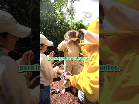 ¡El motor del Amazonas es la miel! 🐝✨